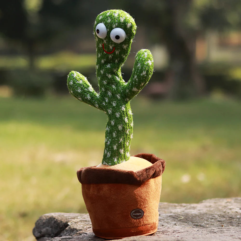 Cactus Bailarín